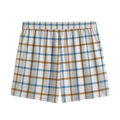 Blue And Brown Tattersall Pattern Print Mesh Shorts