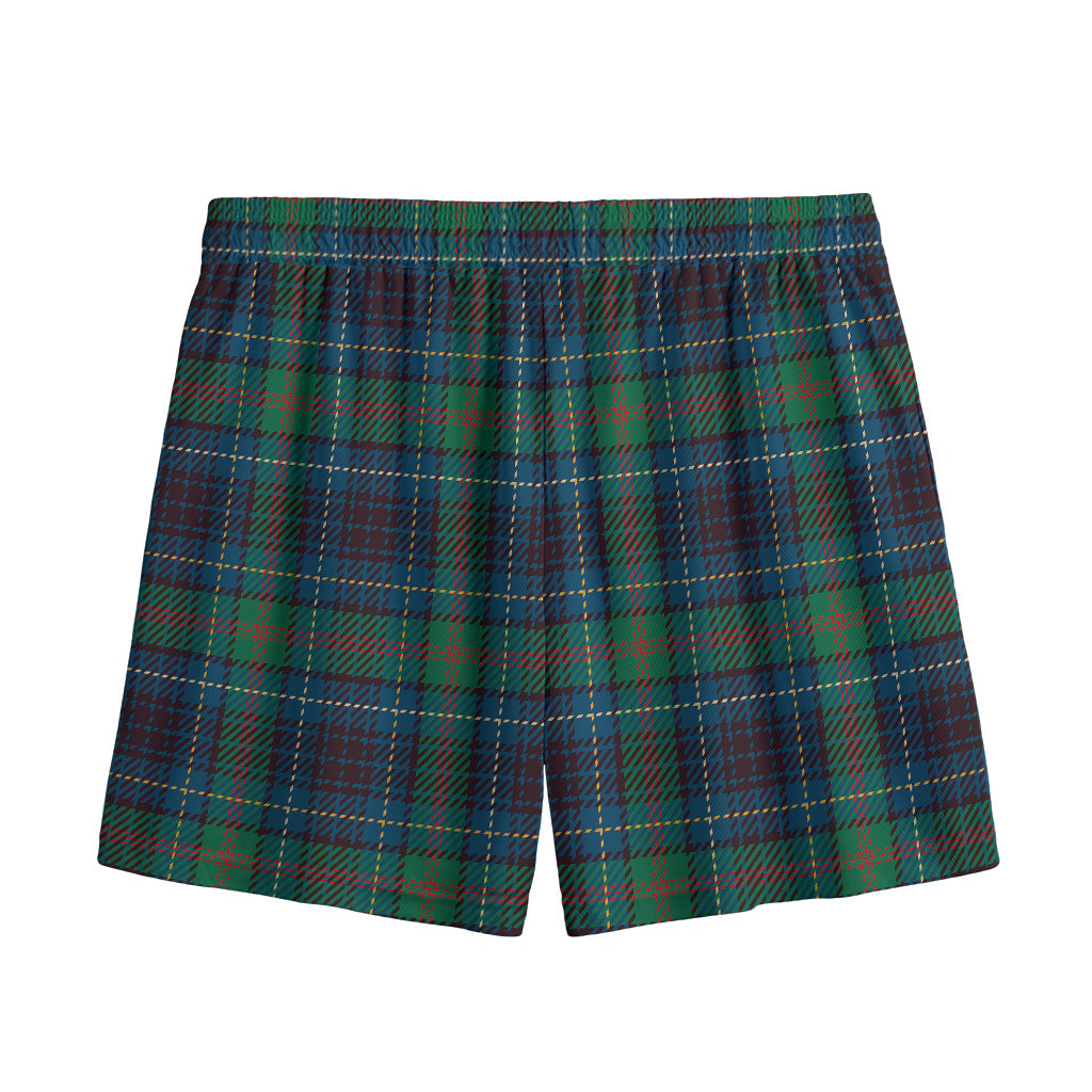 Blue And Green Tartan Pattern Print Mesh Shorts