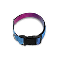 Blue And Purple Spiral Tie Dye Print Dog Collar