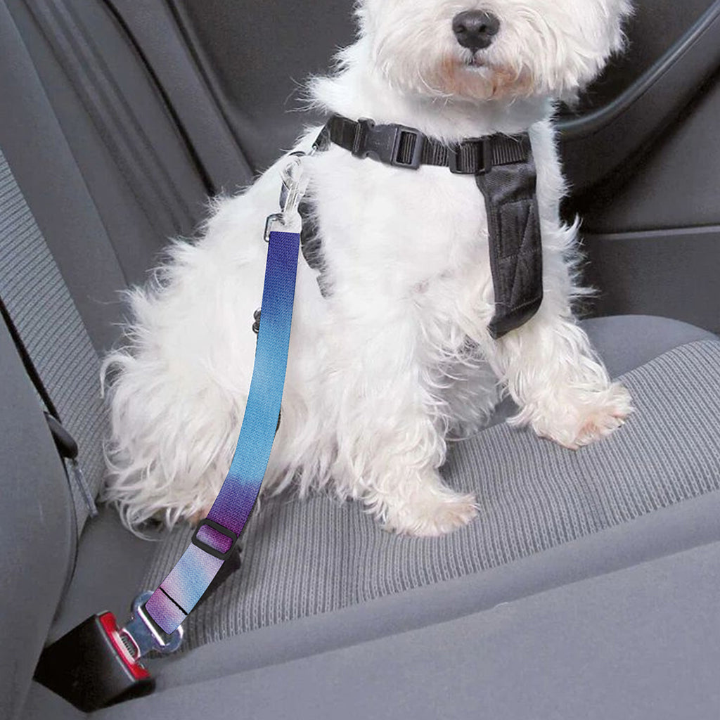 Blue And Purple Spiral Tie Dye Print Dog Seat Belt