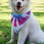 Blue And Purple Spiral Tie Dye Print Over The Collar Dog Bandana