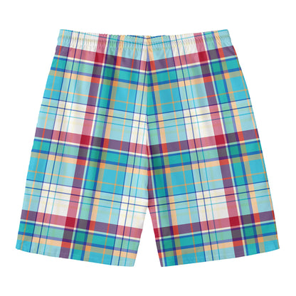 Blue And Red Madras Pattern Print Men's Swim Trunks