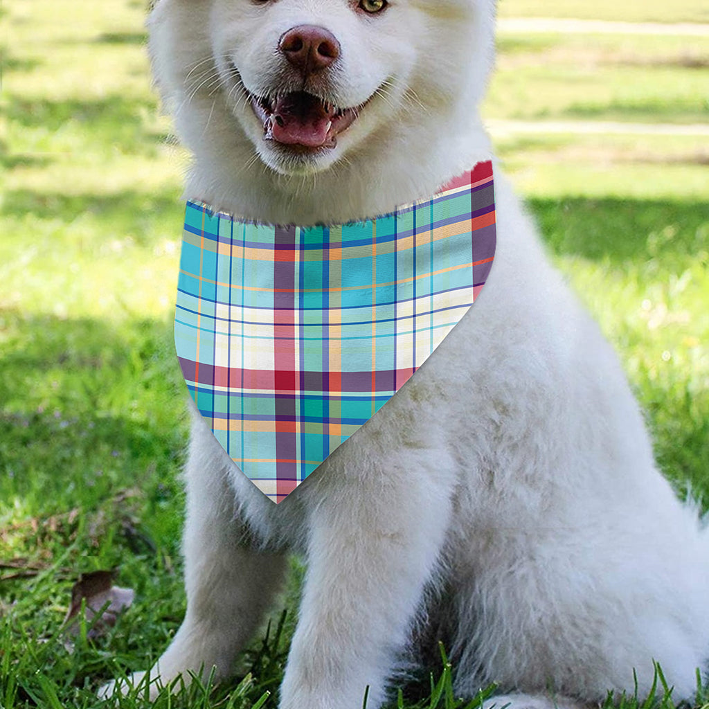 Blue And Red Madras Pattern Print Over The Collar Dog Bandana