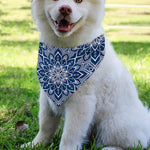 Blue And White Bohemian Mandala Print Over The Collar Dog Bandana