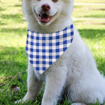 Blue And White Buffalo Check Print Over The Collar Dog Bandana