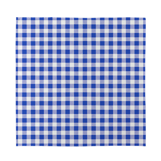Blue And White Buffalo Check Print Silk Bandana