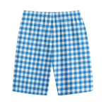 Blue And White Check Pattern Print Cotton Shorts