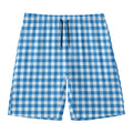 Blue And White Check Pattern Print Men's Swim Trunks