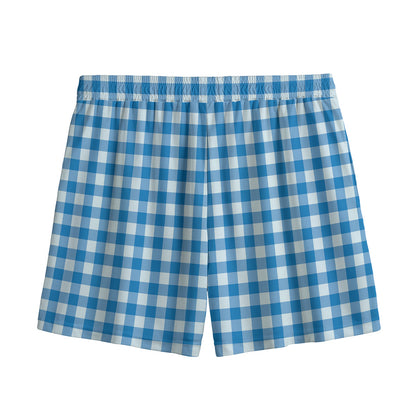 Blue And White Check Pattern Print Mesh Shorts