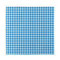 Blue And White Check Pattern Print Silk Bandana