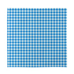 Blue And White Check Pattern Print Silk Bandana