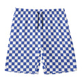 Blue And White Checkered Pattern Print Men's Swim Trunks