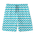 Blue And White Chevron Pattern Print Men's Swim Trunks