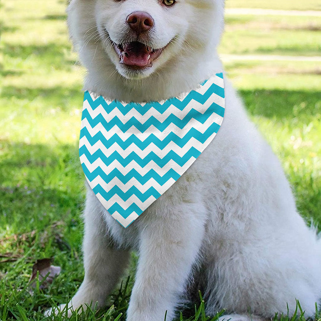 Blue And White Chevron Pattern Print Over The Collar Dog Bandana