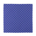 Blue And White Polka Dot Pattern Print Silk Bandana