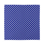 Blue And White Polka Dot Pattern Print Silk Bandana