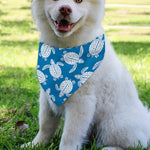 Blue And White Sea Turtle Pattern Print Over The Collar Dog Bandana