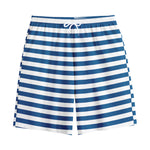 Blue And White Striped Pattern Print Cotton Shorts