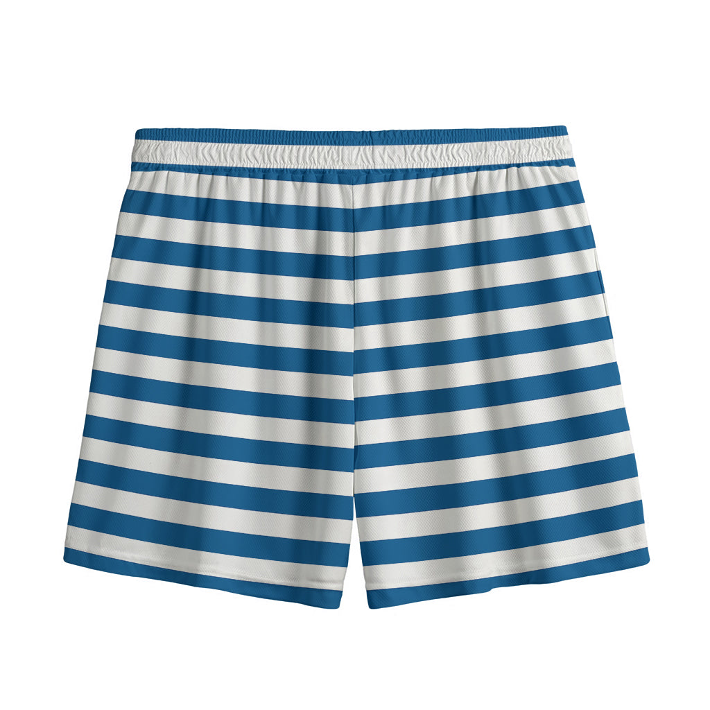 Blue And White Striped Pattern Print Mesh Shorts