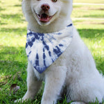 Blue And White Tie Dye Print Over The Collar Dog Bandana