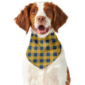 Blue And Yellow Buffalo Check Print Dog Bandana