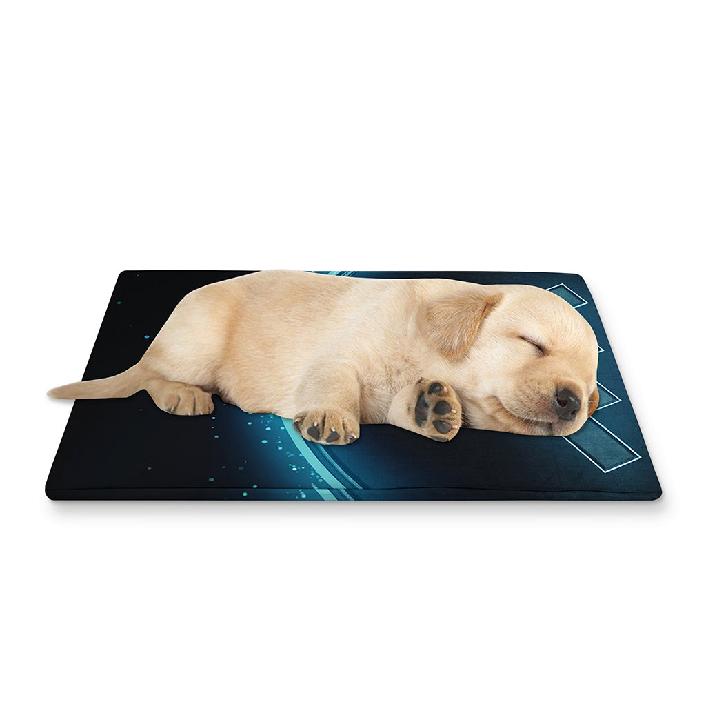 Blue Aquarius Zodiac Sign Print Pet Cooling Mat Cover