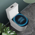 Blue Aquarius Zodiac Sign Print Toilet Lid Cover