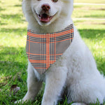Blue Beige And Orange Glen Plaid Print Over The Collar Dog Bandana