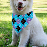 Blue Black And Purple Argyle Print Over The Collar Dog Bandana