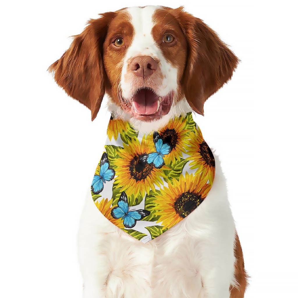 Blue Butterfly Sunflower Pattern Print Dog Bandana