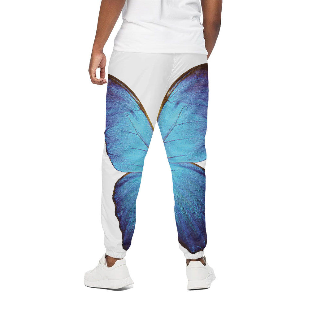 Blue Butterfly Wings Print Cotton Pants