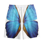 Blue Butterfly Wings Print Cotton Shorts