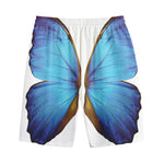 Blue Butterfly Wings Print Cotton Shorts
