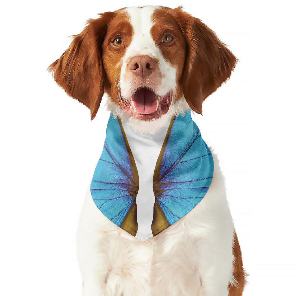 Blue Butterfly Wings Print Dog Bandana