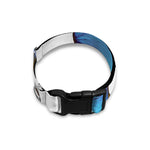 Blue Butterfly Wings Print Dog Collar