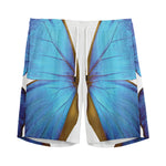 Blue Butterfly Wings Print Men's Sports Shorts
