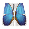 Blue Butterfly Wings Print Men's Swim Trunks