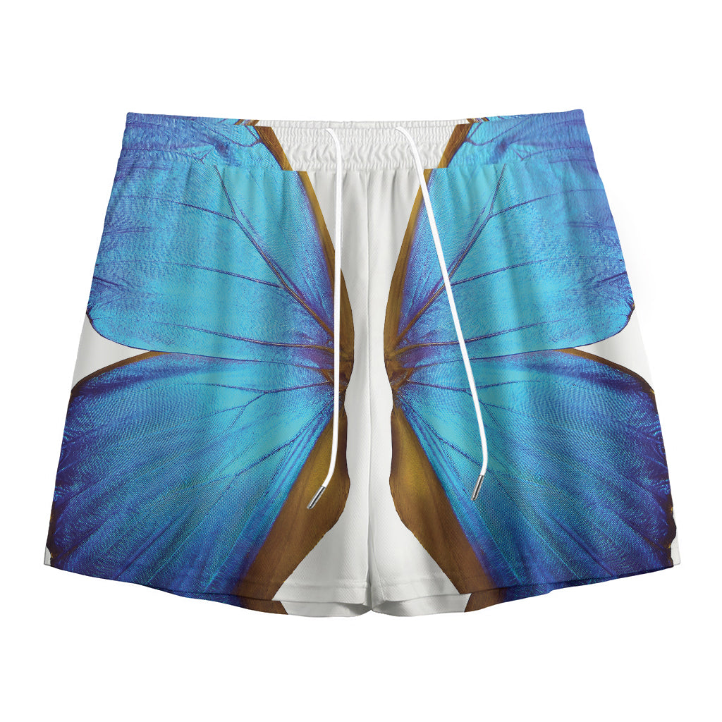 Blue Butterfly Wings Print Mesh Shorts