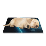 Blue Capricorn Zodiac Sign Print Pet Cooling Mat Cover