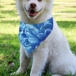 Blue Chrysanthemum Flower Print Over The Collar Dog Bandana