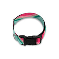 Blue Cute Watermelon Pattern Print Dog Collar