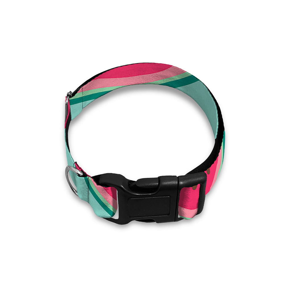 Blue Cute Watermelon Pattern Print Dog Collar