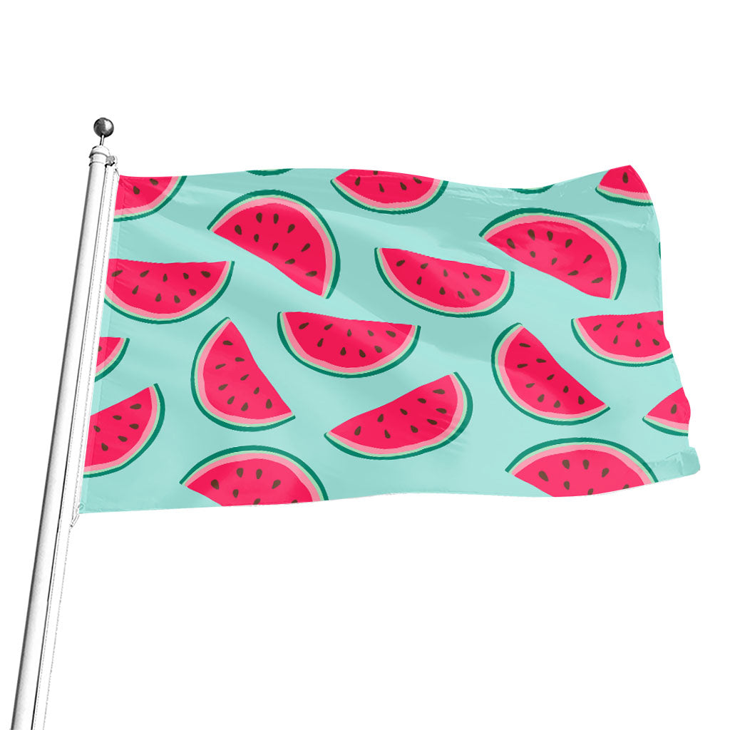 Blue Cute Watermelon Pattern Print Flag