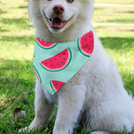 Blue Cute Watermelon Pattern Print Over The Collar Dog Bandana