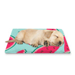 Blue Cute Watermelon Pattern Print Pet Cooling Mat Cover