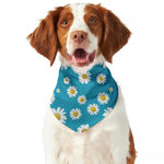 Blue Daisy Flower Pattern Print Dog Bandana