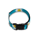 Blue Daisy Flower Pattern Print Dog Collar
