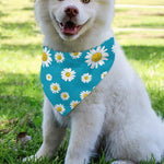 Blue Daisy Flower Pattern Print Over The Collar Dog Bandana