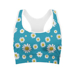 Blue Daisy Flower Pattern Print Women's Sports Bra