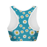 Blue Daisy Flower Pattern Print Women's Sports Bra